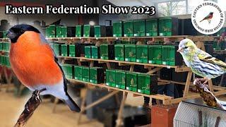 Eastern Fed British Bird Show 2023