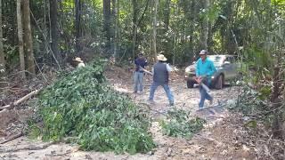 Sustainable forest management project, Rondônia, Brazil