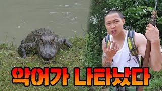 [5000만원 드론 야투경] 최근 뉴스에 나온 '악어 목격지' 직접 가서 찾아봤습니다
