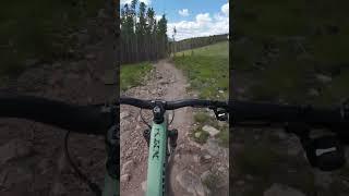 Breckenridge Views are Insane! #mtb #mountainbiking #shorts