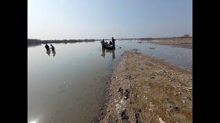 eDNA sampling - the lost Syr Darya shovelnose. Angren river confluence with the Syr Darya 13.03.2025