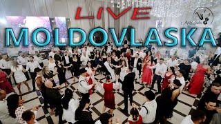 NEW  orchestra *Moldovlaska* PROGRAM  LIVE la nunta lui Denis si Mariela VOLEAC