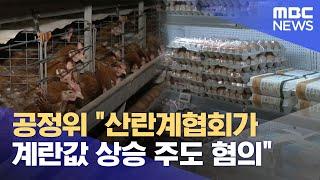 공정위 "산란계협회가 계란값 상승 주도 혐의" (2025.06.16/뉴스외전/MBC)