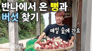 (라오스) 장미 무당 버섯 찾기 | 남리앙에 온 반나마을 뻥 [4K 60fps UHD] [라오스 시골 선생님 ep. 277]