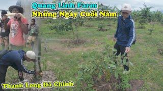 Quanglinhvlogs || Thưởng Thức Thành Qủa Tại Quang Linh Farm - Khung Cảnh Những Ngày Cuối Năm !!!