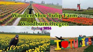 Wooden Shoe Tulip Farm Woodburn Oregon Spring 2024