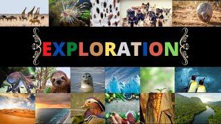Explore The Unseen World Around You