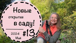 ️Прогулка по саду - 13 ️Конец мая невероятно красивый️ Приглашаю на прогулку по саду️ Май 2024