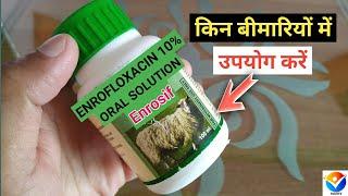 Enrofloxacin 10% Oral Solution Uses In Hindi | Enrosif | Enrofloxacin 100mg| Enrofloxacin Veterinary