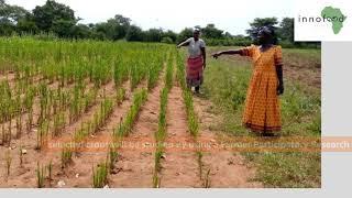 InnoFoodAfrica - Farmer Participatory Research