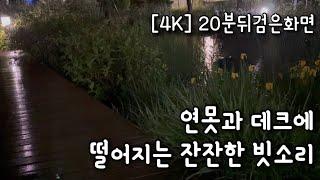 듣기 딱 좋은 #빗소리 1시간  숙면을 위한 빗소리 #빗소리asmr #심신안정 #잠들기전 #수면음악 #백색소음