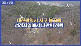 #10)대전 서구에 도심속 청정지역 목장용지와 임야