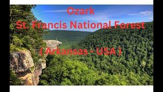 Ozark St  Francis National Forest (Arkansas - USA)