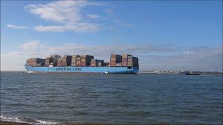 Maersk Herrera gathers headway to depart  Felixstowe Deep Water Berth 8.    19th January 2022