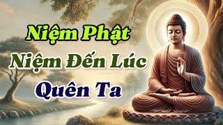 Niệm Phật Niệm đến lúc quên ta, tức vọng ngã, thì đạt được Niệm Phật Tam Muội