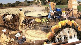 Unseen Beautiful Village Life in Pakistan | Beautiful Old Culture of Punjab