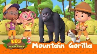 Mountain Gorilla | It's An Earthquake! Get To Safety! | Leo the Wildlife Ranger Season 2 | For Kids