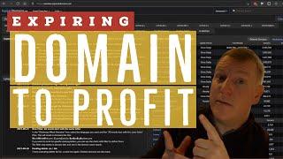 Expired Domains Ready to Be Developed - Jan 17th - Domain To Profit