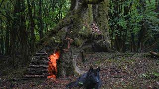 Camping and survival inside big tree in heavy rain