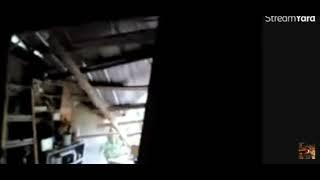 Funny Slow Motion Tree Falls through the Roof Hurricane Idalia