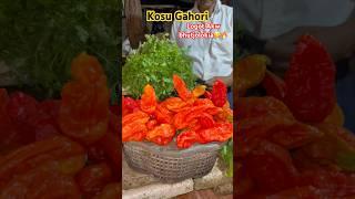 Kosu Gahori Logot Akw bhutjolokia #ytshort #pork #recipe #food #explore #foodie #assam