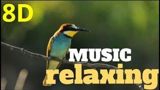 8D-Music RELAXING  nature sound birds-meditation,calm,peace audio 8D