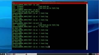 Linux Back to Basics Episode 8: Bash Job Management