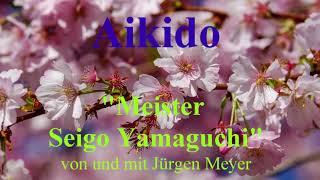 Wu Tai Chi Saar Buchlesung Aikido Meister Seigo Yamaguchi