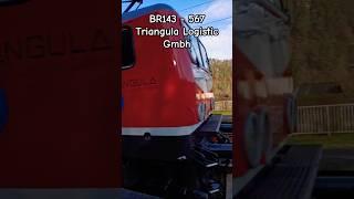 BR143 Lew Hennigsdorf  TRIANGULA LOGISTIK 20 Jahre