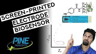 Electrochemical Impedance Spectroscopy of a Screen-Printed Electrode Biosensor (Inductive Loop!!)