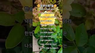 창부타령1절-장민#6월초에 새롭게핀 꽃들...