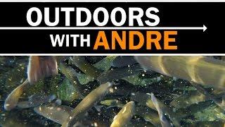 Outdoors with Andre: Tease to the trout hatchery