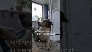 할말있어요