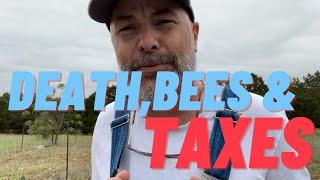 Bee Story- How to get Ag Exemption for BEES