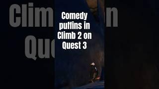 Puffin patrol in Climb 2 on Quest 3 #quest3