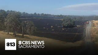 Forward progress of Camino Fire stopped in Tuolumne County