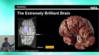 8th BigBrain Workshop 2024: The Extremely Brilliant Brain - The Isotropic Micrometric Human Brain...