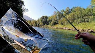 Fly fishing in Bavaria | Euro-nymphing for a big grayling | 53 cm grayling from a wonderful river