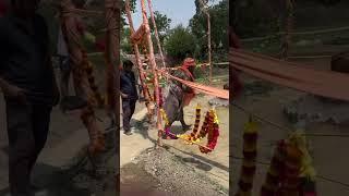 Jate ke #duphar ma tapsaya #baba deepak nath ji #dera #baba neji nath bachpari #gohana Sonipat 2025