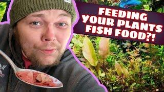 Fertilizing Your Aquarium Plants With Fish Food Instead? Can Nutrient Rich Fish Food Replace Fertz?