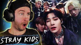 BABY STAY REACTS TO STRAY KIDS - "거미줄(VENOM)"  M/V for the FIRST TIME!