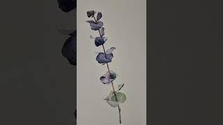 유칼립투스 물빛 수채화 |  풀꽃그림 | 꽃그림 수채화 | Eucalyptus watercolor #shorts #watercolor #수채화