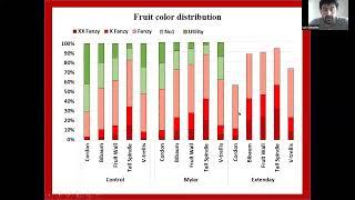 The use of ground cover materials to increase fruit color on Honeycrisp, NY-1, NY-2, and Evercrisp