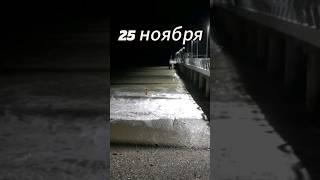 25 ноября #купаюськруглыйгод #лазаревское #закаливание #море #моржевание