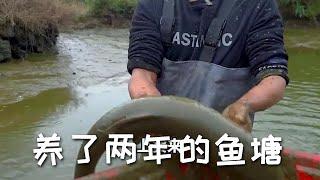 【戶外捕魚vlog】包下一位60歲大叔養了兩年的魚塘，裏面究竟有多少魚？#三農#戶外