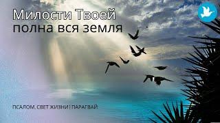 Свет жизни | Парагвай - Милости Твоей полна вся Земля