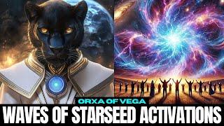 "You Don't Have Much Time (Good News!)..." | Orxa - The Vega Collective