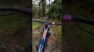 Antur  #mtb #mtblife #bike #downhill