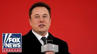 Elon Musk touts MASSIVE spending cuts if Trump wins