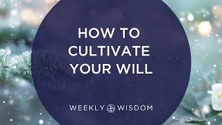 How to Cultivate Your Will | 3-Minute Tip